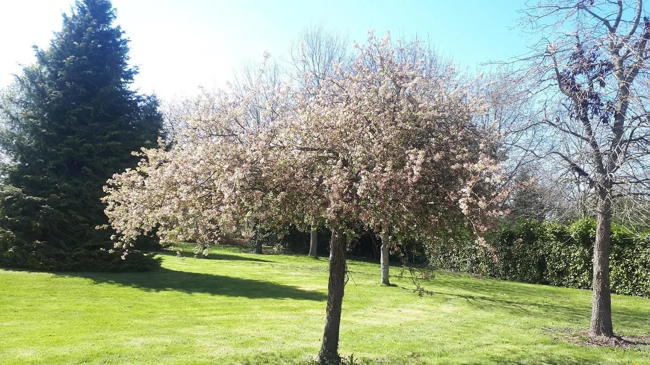 Chez Celine Bed & Breakfast Sens-de-Bretagne